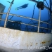 wreck_boga_tam_h_0118_bal3933.jpg